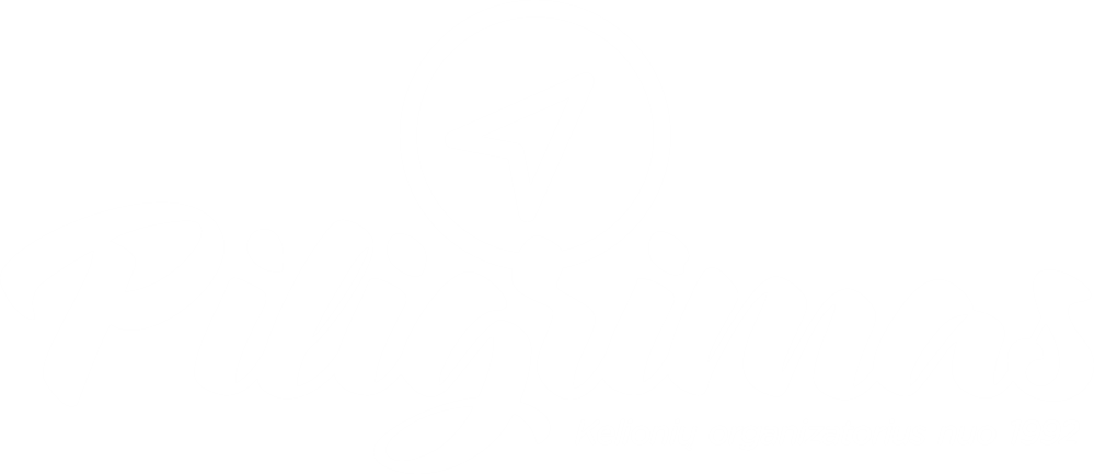 Kelionių organizatorius Piligrimas